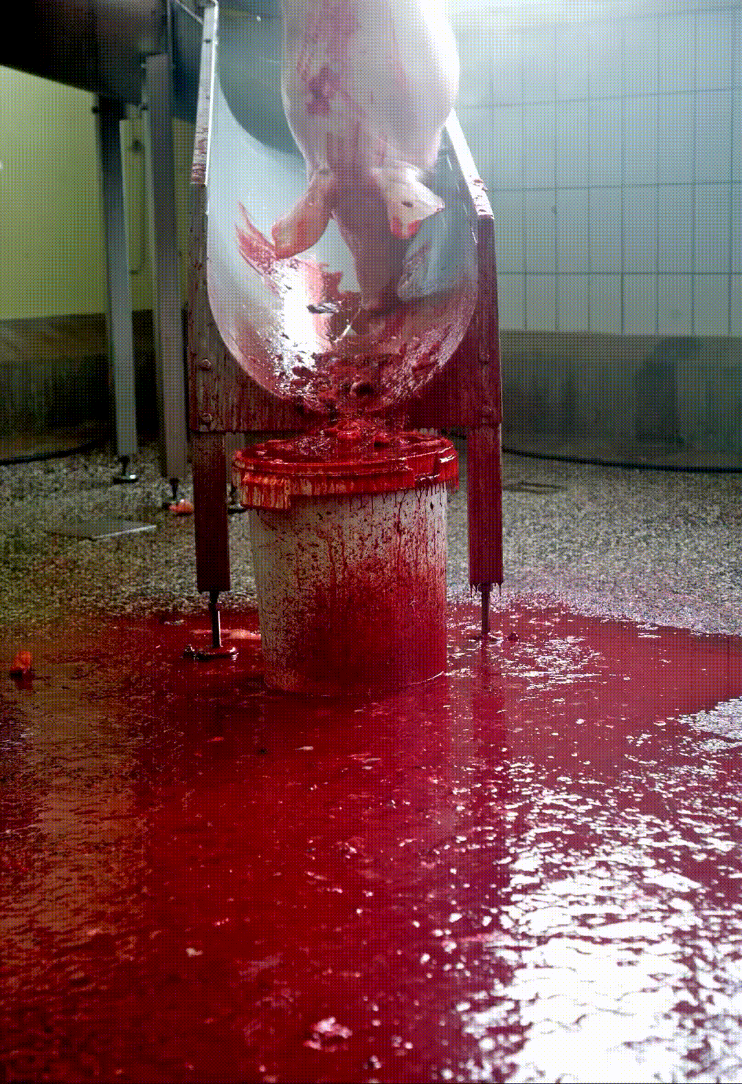 THE SLAUGHTERMAN GIF 4